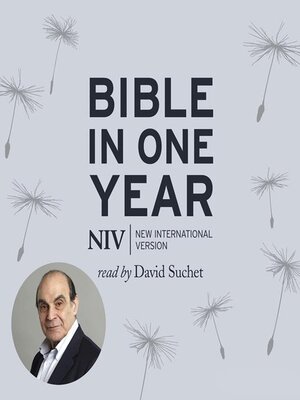 cover image of NIV Audio Bible in One Year